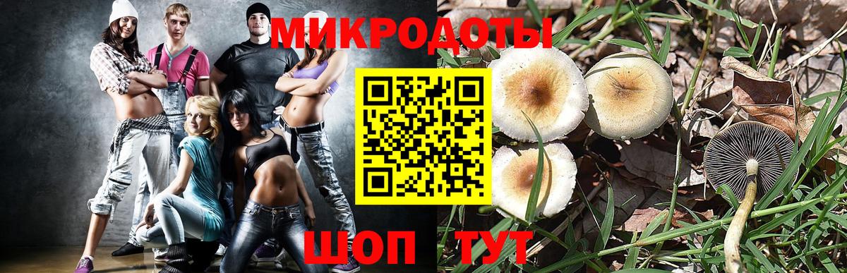 Псилоцибиновые грибы Psilocybine cubensis Невинномысск