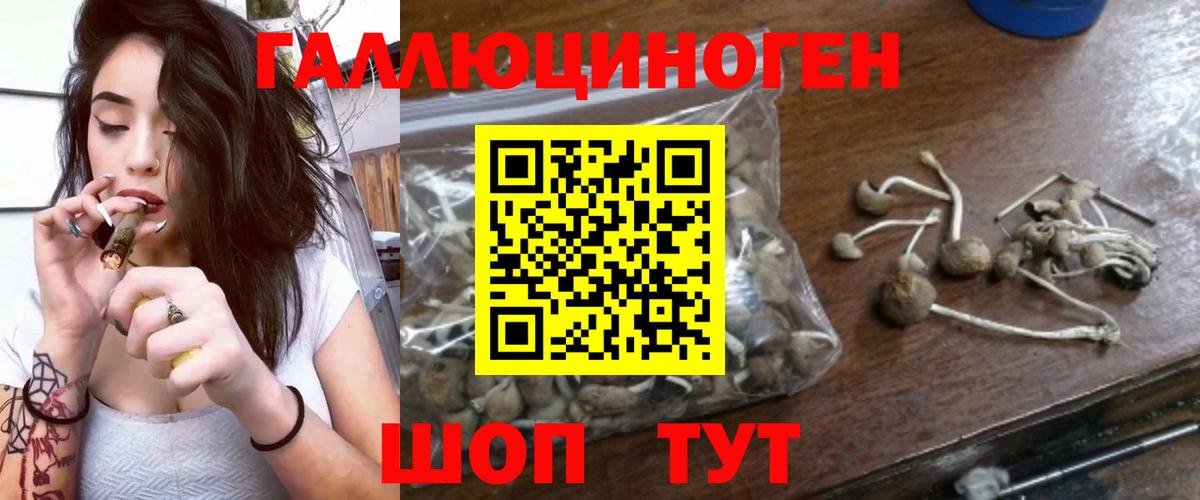 Галлюциногенные грибы прущие грибы  Вход с VPN  Невинномысск 
